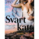 Svart katt - erotisk novell