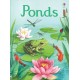 Ponds