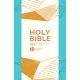 NIV Larger Print Personal Teal Soft-Tone Bible: Gift edition