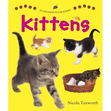 Say and Point Picture Boards: Kittens