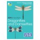 RSPB ID Spotlight - Dragonflies and Damselflies