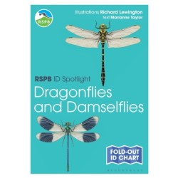 RSPB ID Spotlight - Dragonflies and Damselflies