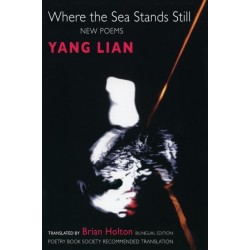 Where the Sea Stands Still