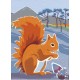 Nature Notebook: Red Squirrel