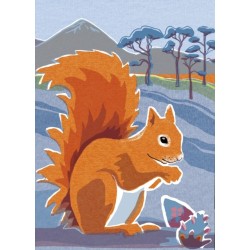 Nature Notebook: Red Squirrel