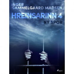 Hreinsarinn 4: Ný spor