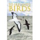 The Complete Field Guide to Ireland's Birds