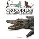 Crocodiles, Alligators & Lizards