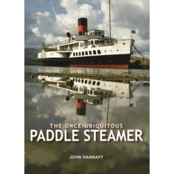 The Once-Ubiquitous Paddle Steamer