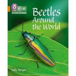 Beetles Around the World: Band 06/Orange