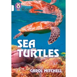 Sea Turtles: Band 10/White