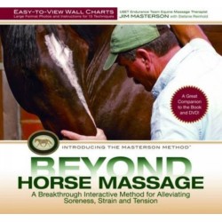 Beyond Horse Massage Wall Chart