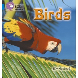 Birds: Band 04/Blue