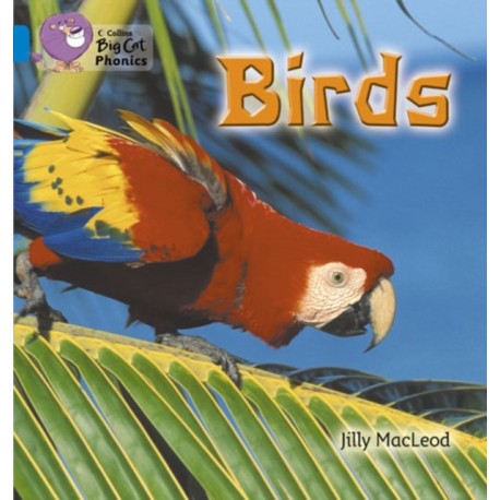 Birds: Band 04/Blue