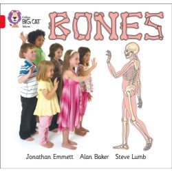 Bones: Band 02b/Red B