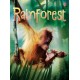 Rainforests