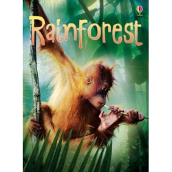 Rainforests
