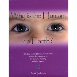 Why is the Human on Earth?: Working Contemplations