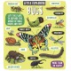 Little Explorers: Bugs
