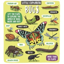 Little Explorers: Bugs