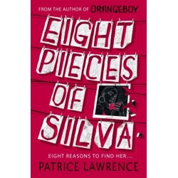 Eight Pieces of Silva: an addictive mystery that refuses to let you go …