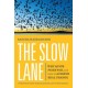 The Slow Lane: Why Quick Fixes Fail and How to Achieve Real Change