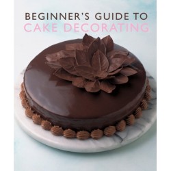 Beginner'S Guide to Cake Decorating