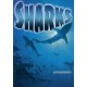 Sharks
