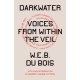 Darkwater: Voices from Within the Veil
