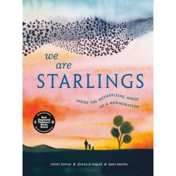 We Are Starlings