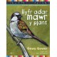 Llyfr Adar Mawr y Plant