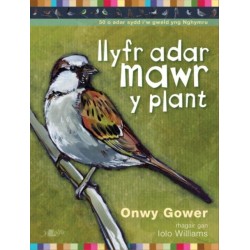 Llyfr Adar Mawr y Plant