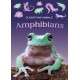 Amphibians
