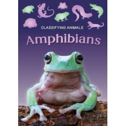 Amphibians