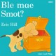 Cyfres Smot: Ble Mae Smot?