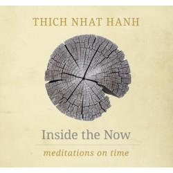 Inside the Now: Meditations on Time