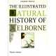 The Illustrated Natural History of Selborne