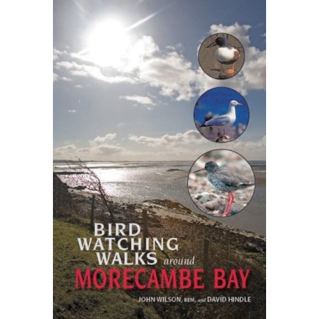 Birdwatching Walks Around Morecambe Bay