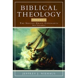 Biblical Theology, Volume 3