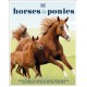 Horses & Ponies: Everything You Need to Know, From Bridles and Breeds to Jodhpurs and Jumping!