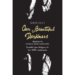 Our Beautiful Darkness: A Graphic Novel