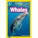 Whales: Level 1