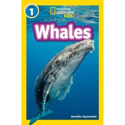 Whales: Level 1