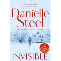 Invisible: A compelling story of ambition and pursuing a dream from the billion copy bestseller