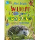 RSPB Wildlife in Your Garden