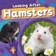 Hamsters