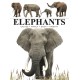 Elephants