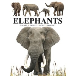 Elephants