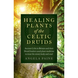 Healing Plants of the Celtic Druids: Ancient Celts in Britain and their Druid healers used plant medicine to treat the mind, body and soul