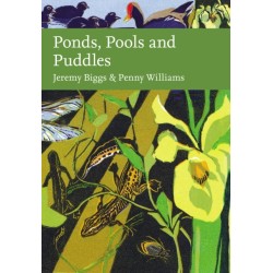Ponds, Pools and Puddles